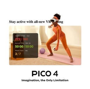 PICO 4 All-In-One VR Headset (128GB/256GB)