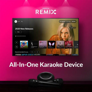 Popsical Remix Home Karaoke System