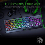 Razer Blackwidow Mechanical Gaming Keyboard