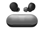 Sony WF-C500 True Wireless Earphones